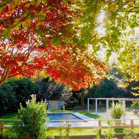 Eco-Resort Parco Botanico Fiorlago Mergozzo Extérieur photo