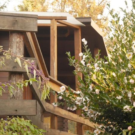 Eco-Resort Parco Botanico Fiorlago Mergozzo Extérieur photo