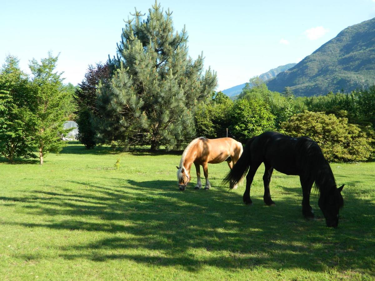 Eco-Resort Parco Botanico Fiorlago Mergozzo Extérieur photo