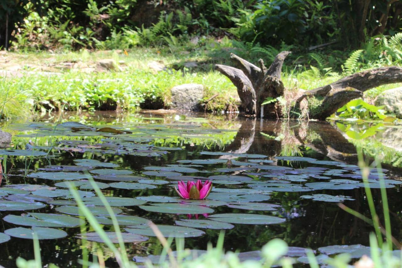 Eco-Resort Parco Botanico Fiorlago Mergozzo Extérieur photo