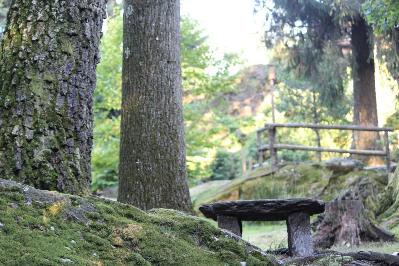 Eco-Resort Parco Botanico Fiorlago Mergozzo Extérieur photo