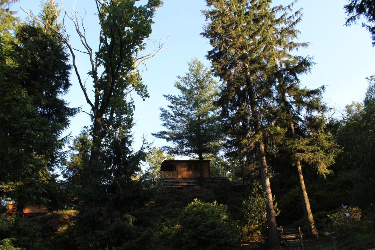 Eco-Resort Parco Botanico Fiorlago Mergozzo Extérieur photo