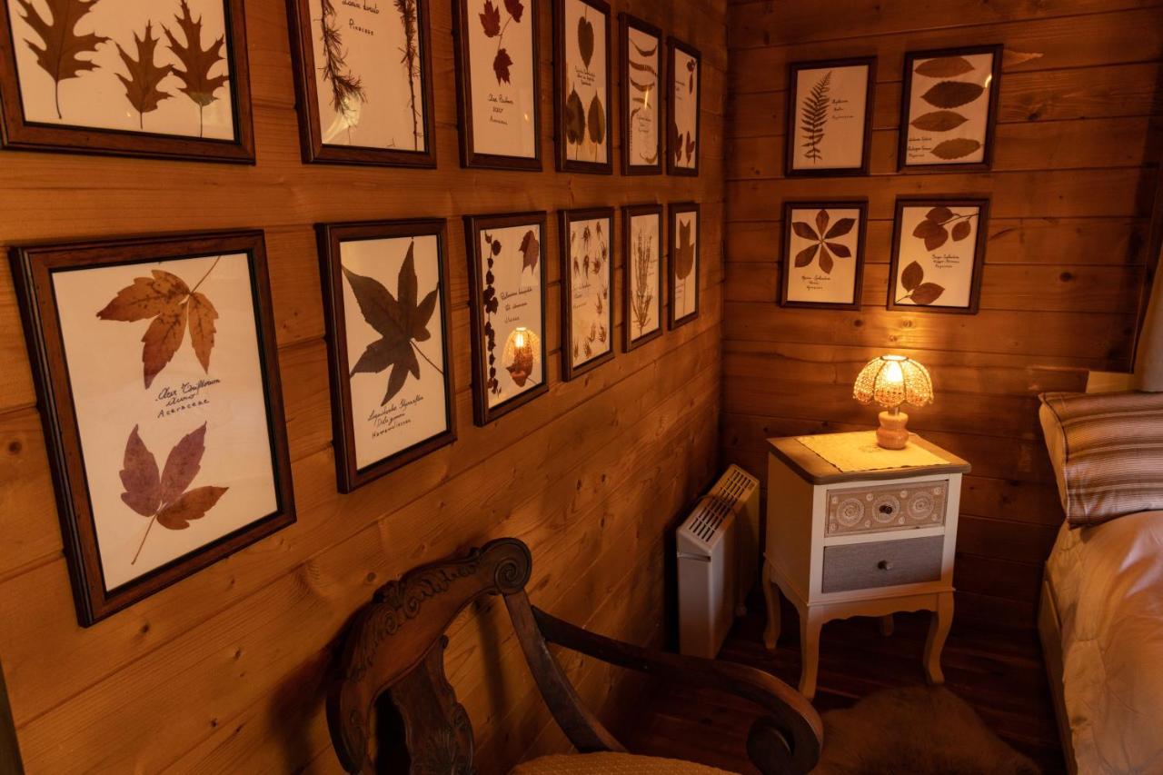Eco-Resort Parco Botanico Fiorlago Mergozzo Extérieur photo