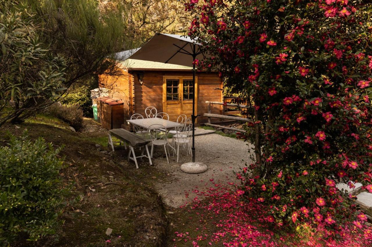 Eco-Resort Parco Botanico Fiorlago Mergozzo Extérieur photo