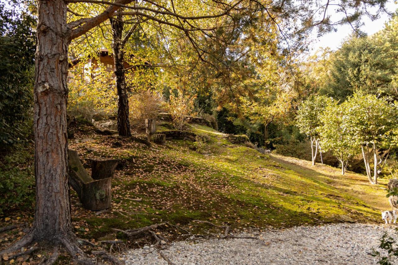 Eco-Resort Parco Botanico Fiorlago Mergozzo Extérieur photo