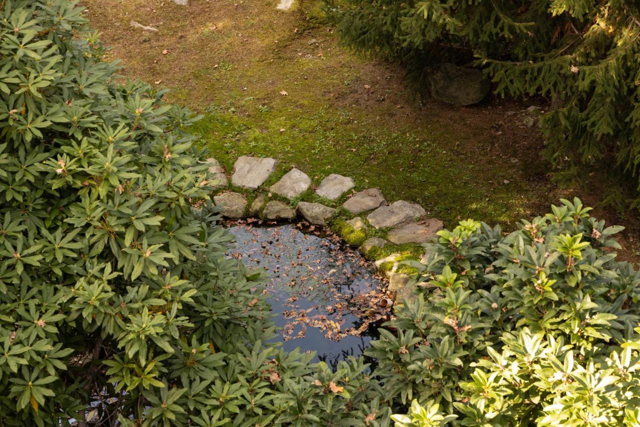Eco-Resort Parco Botanico Fiorlago Mergozzo Extérieur photo