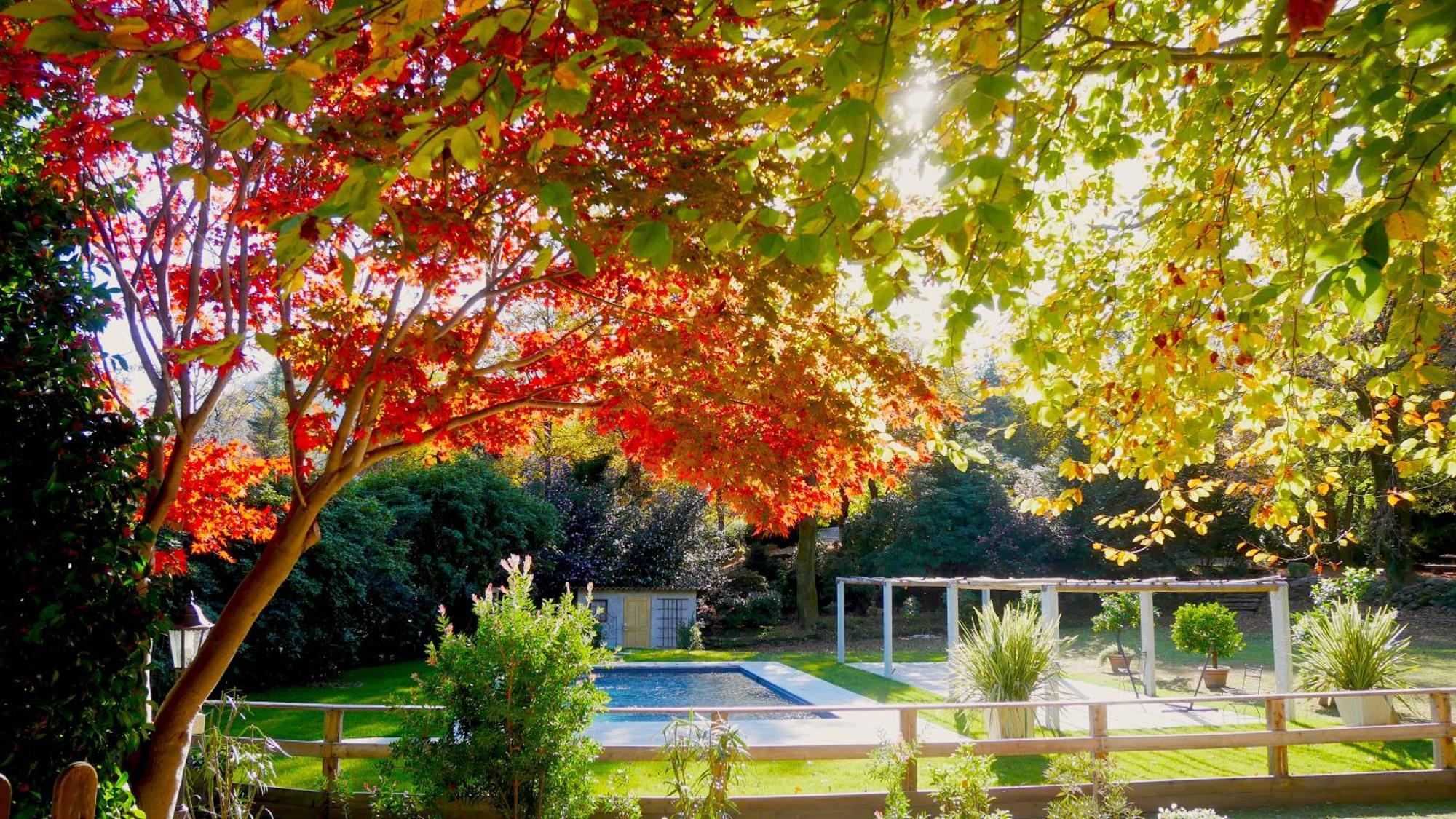 Eco-Resort Parco Botanico Fiorlago Mergozzo Extérieur photo