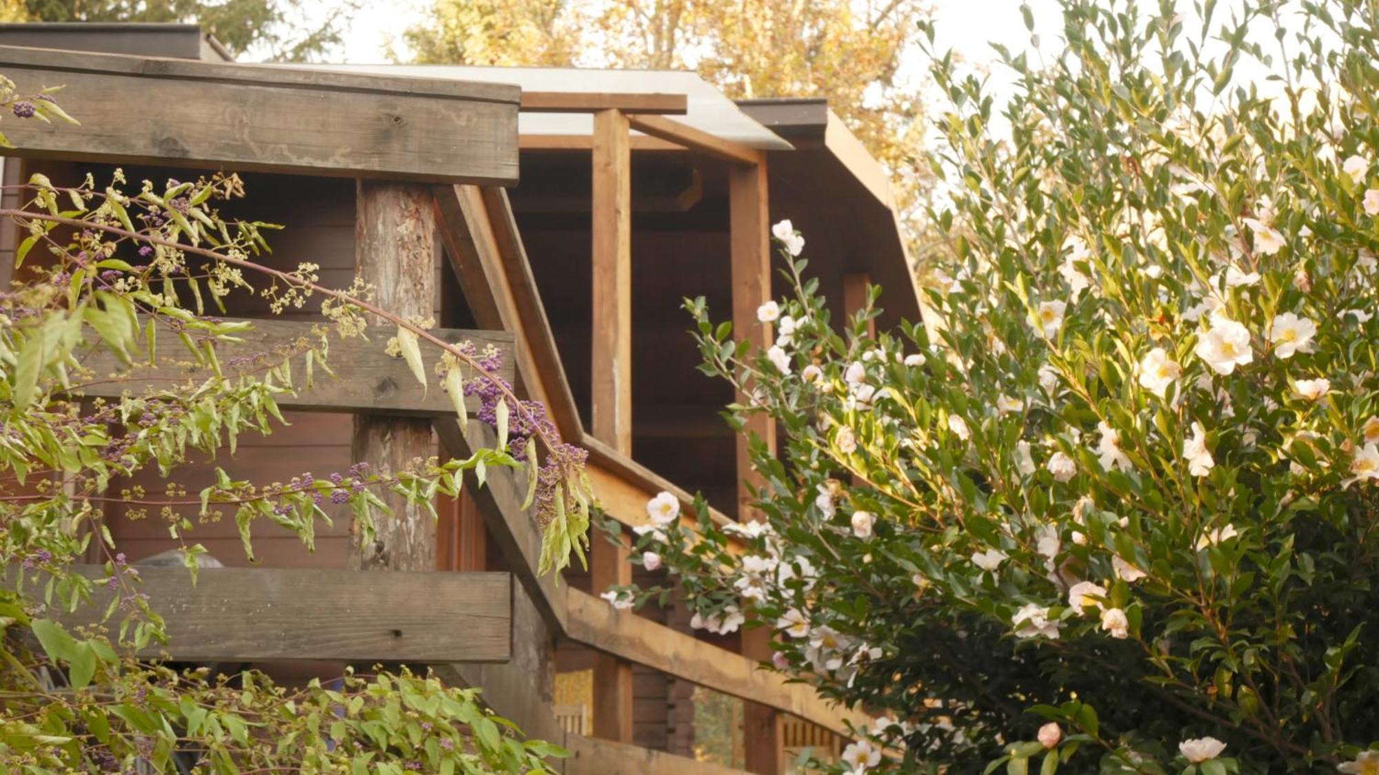 Eco-Resort Parco Botanico Fiorlago Mergozzo Extérieur photo